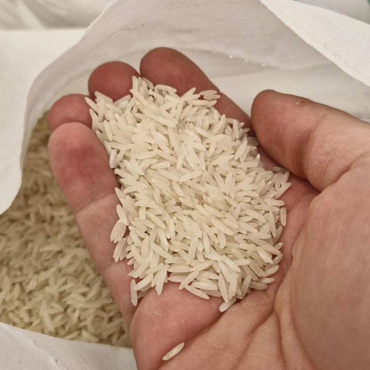 خرید برنج طارم محلی فریدونکنار شمال
